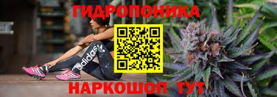 СК Обнинск